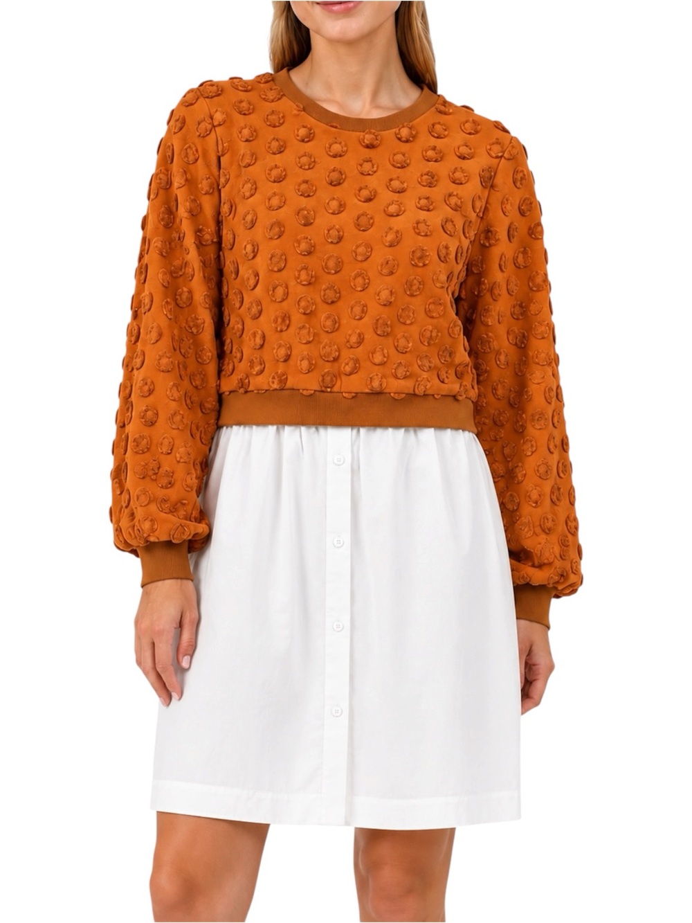 PEARL BY LELA ROSE Ginger Embroidered Jersey Combo Poplin Shirtdress XS